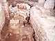 „Zapisano u kostima – antropološka analiza kostiju iz arheoloških istraživanja dubrovačke katedrale” – predavanje